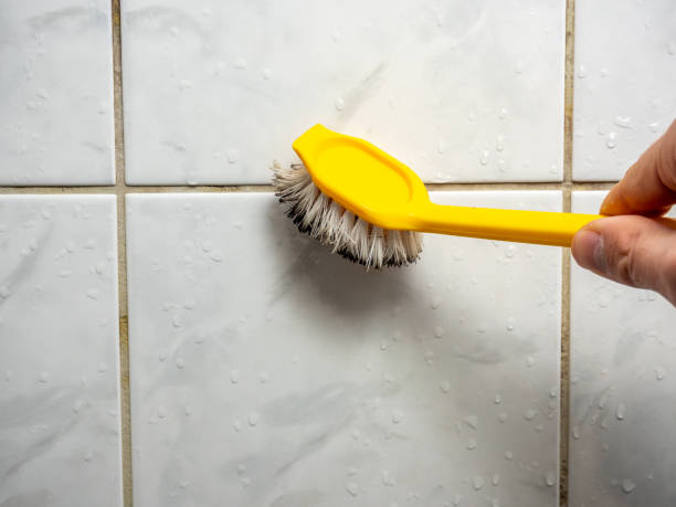 Mold Testing and Removal in Mount Carmel, TN